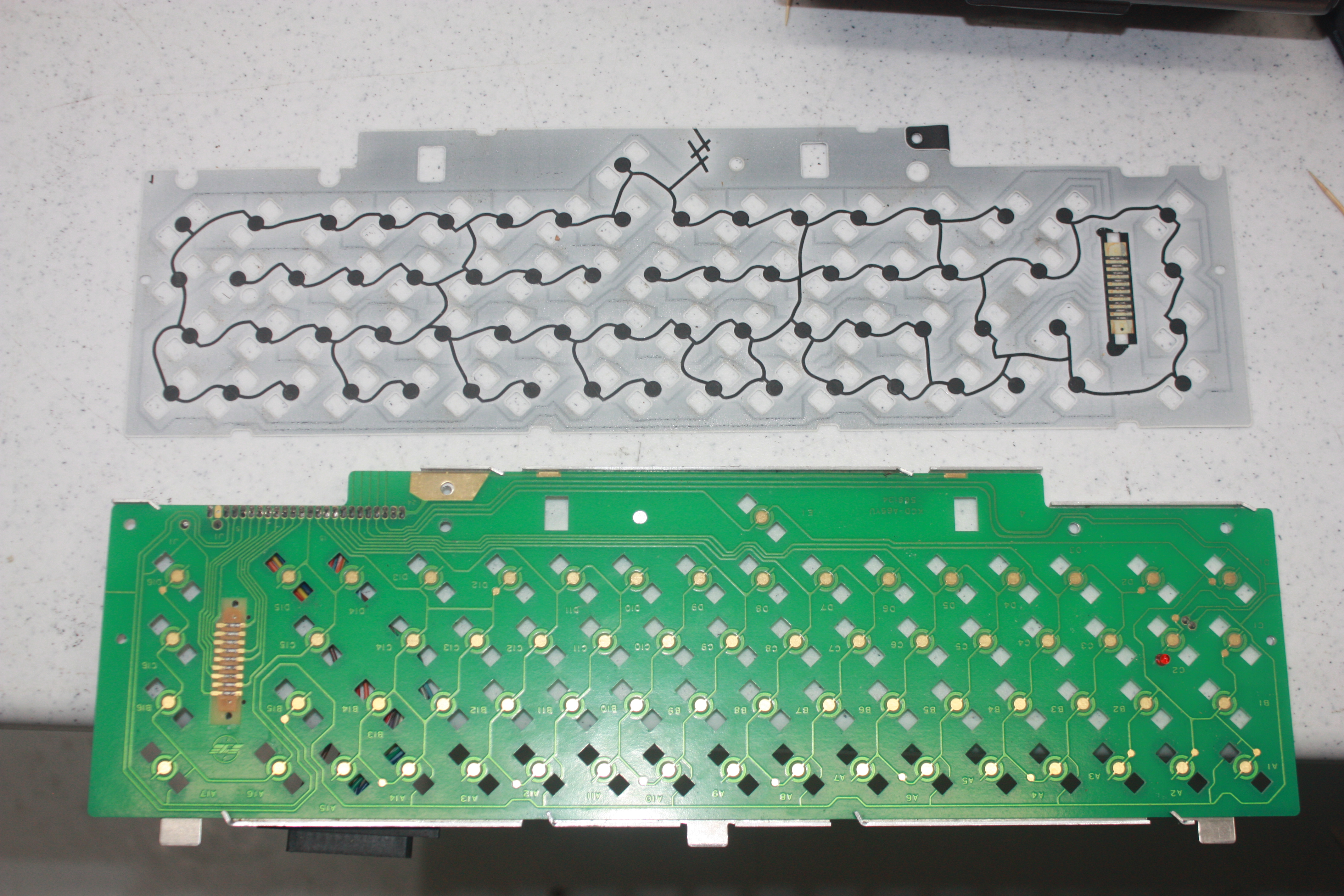 sx64mineMembrane-ga1015132.jpg