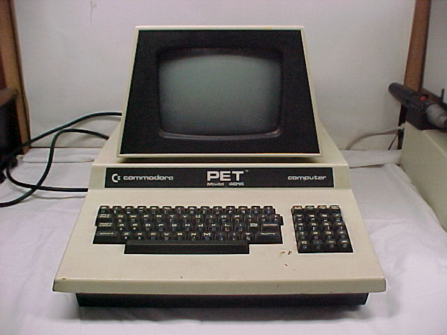 pet4016onWhite.jpg