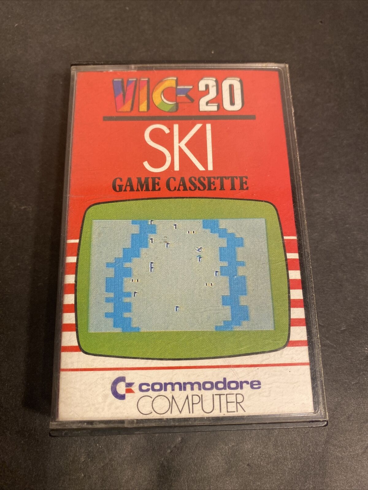 VIC2208-SKI-1.jpg